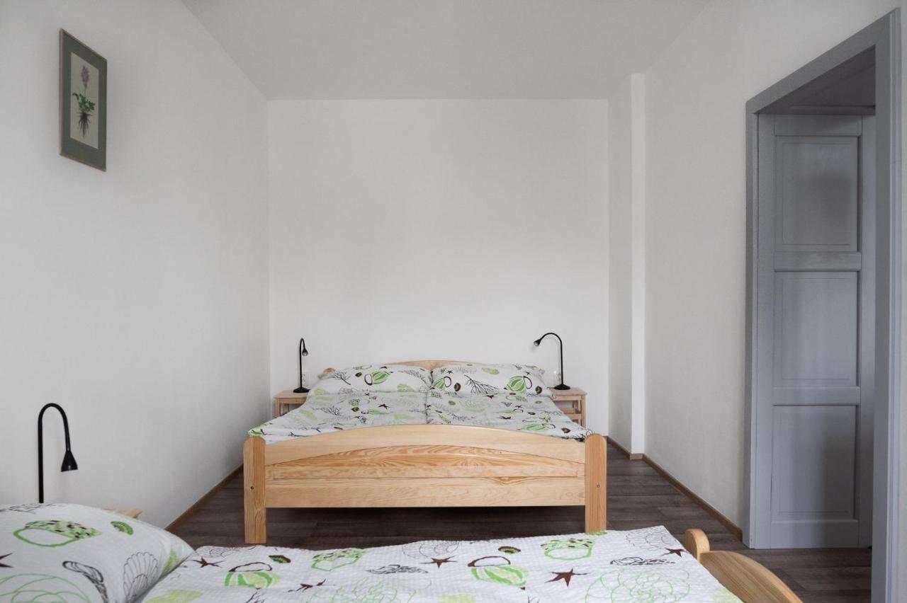 Apartmány16 Olešnice v Orlických horách Exteriér fotografie